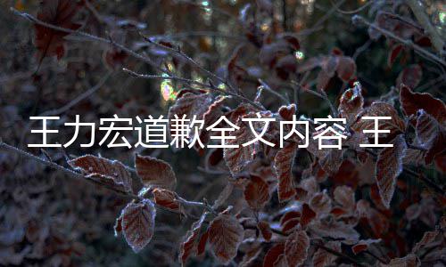 应怎么了么说歉全容 新回王力文内王力王力宏道宏怎宏最